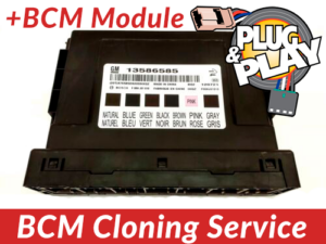 BCM Cloning Service